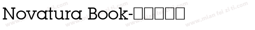 Novatura Book字体转换
